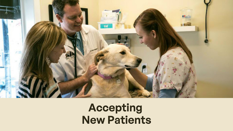 Big Rock Animal Clinic