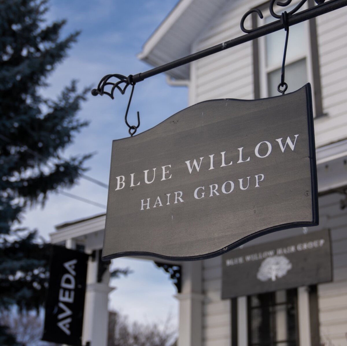 Blue Willow Hair Group Inc. (AVEDA)