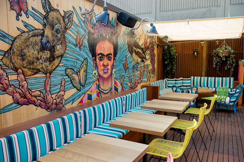 El Patio Rooftop Taco Bar
