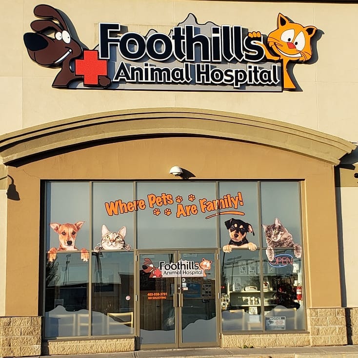 Foothills Animal Hospital