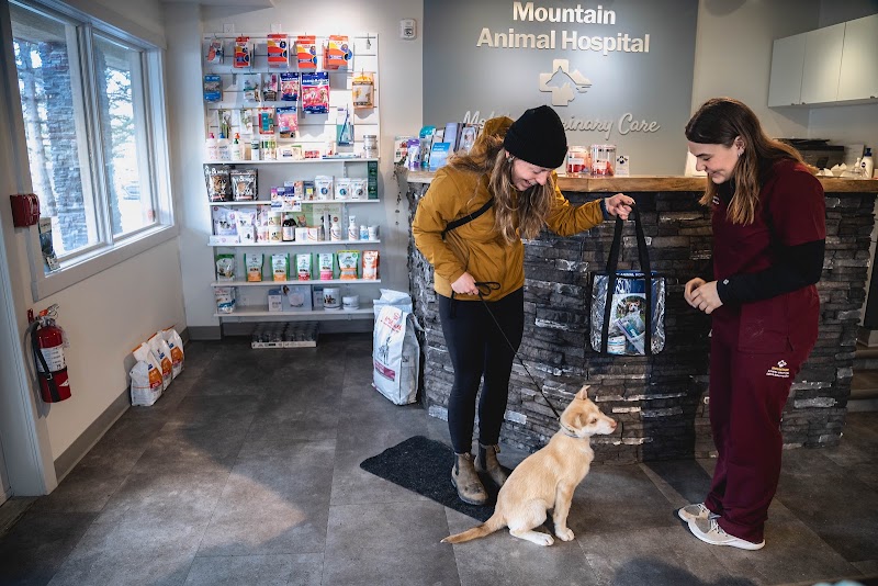 Mountain Animal Hospital and Mobile Veterinary Care