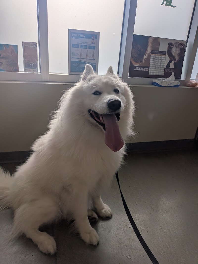 Riverwood Veterinary Clinic
