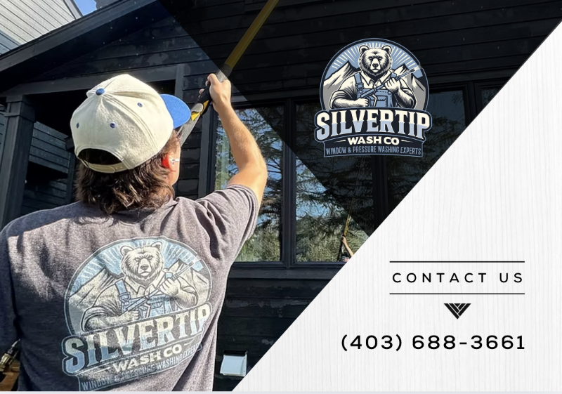 Silvertip Wash Co.