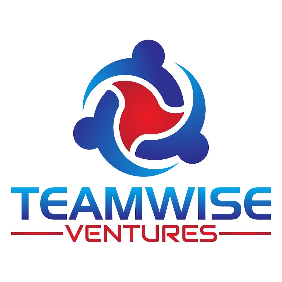 TeamWise Ventures Ltd.