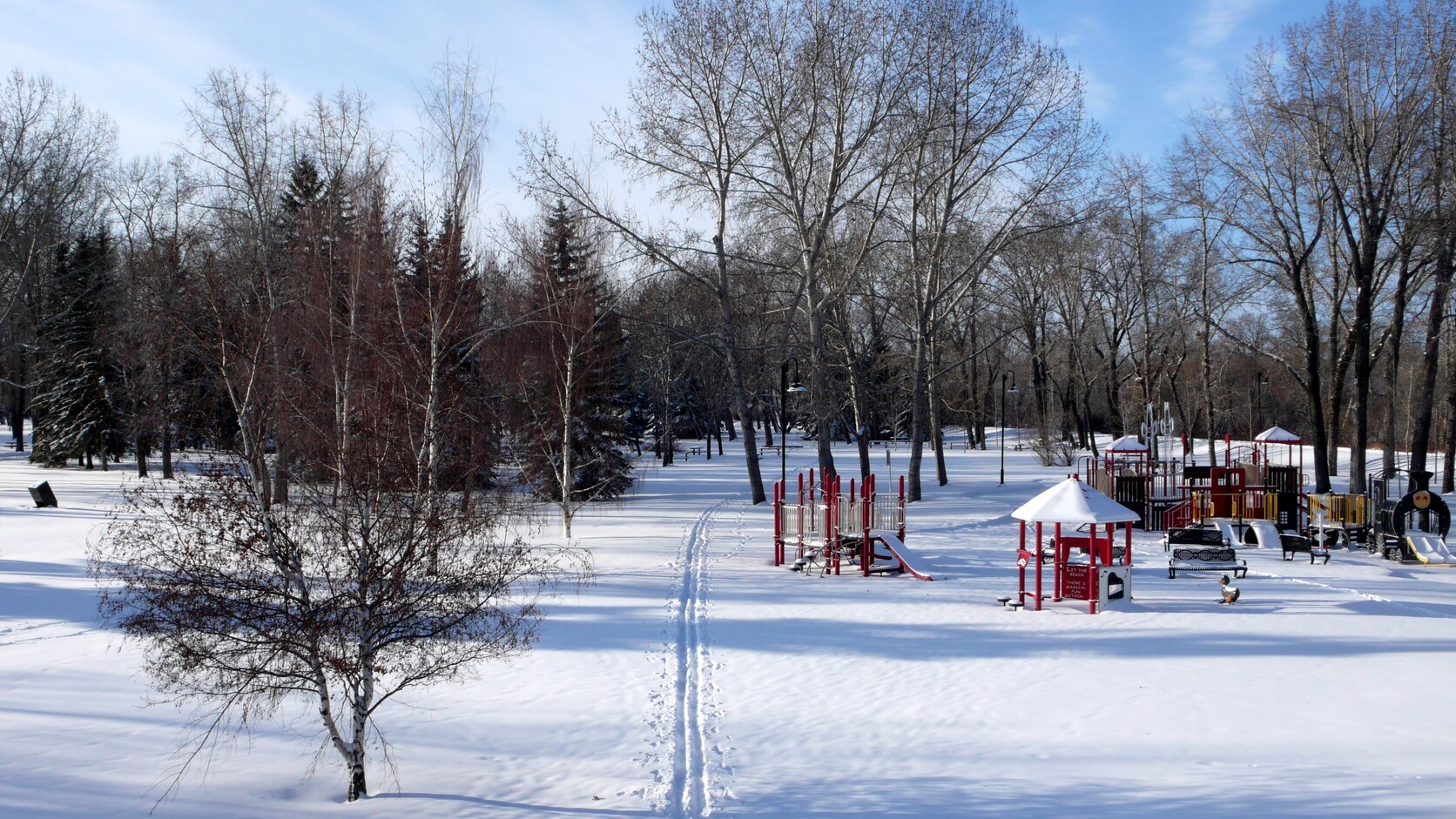 Winter in a boreal river valley
